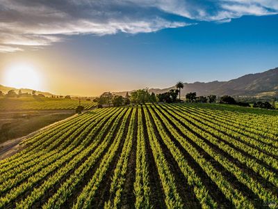 650 Kenilworth Avenue, Kenwood, CA, 95452