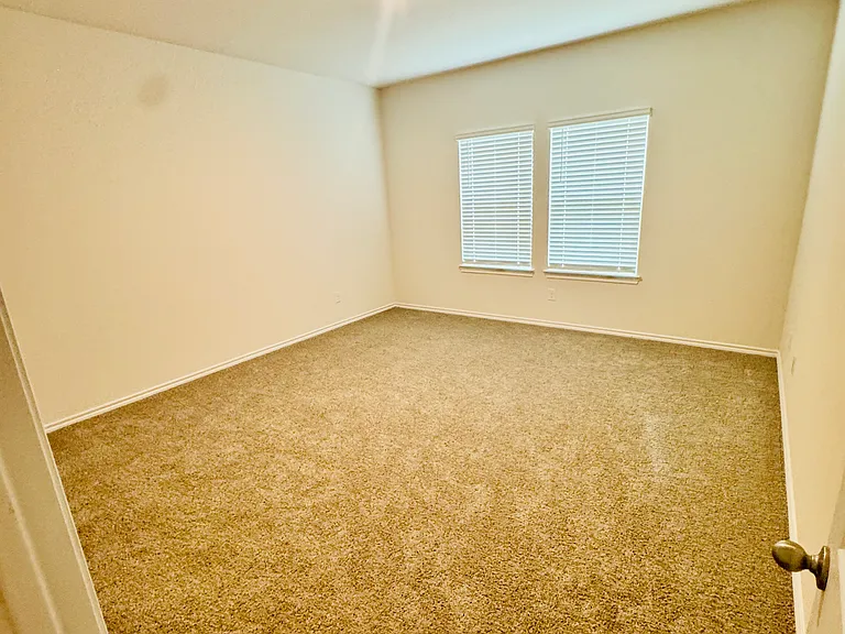 3924 Limestone Bluff Dr — Photo 14