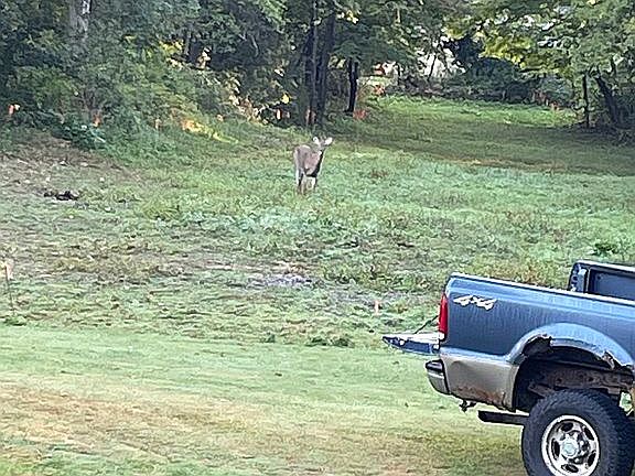 2nd image of 11079 State Route 22