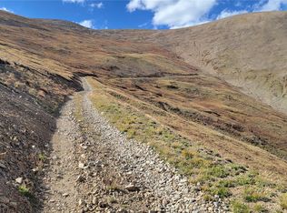 MS #17664- LAST ROSE, BARRY LYNDON, RORY OMORE - 66.66%, Alma, CO 80420