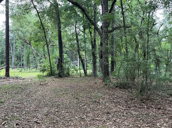 TBD NE 246th Trace, O'Brien, FL 32071