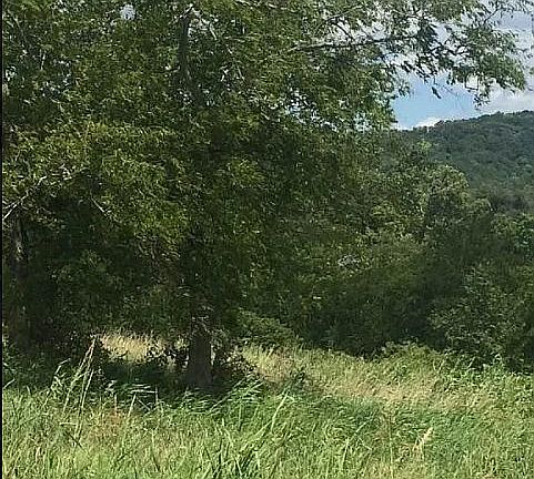 5th image of 5155 Candlewood Ct Lot 35