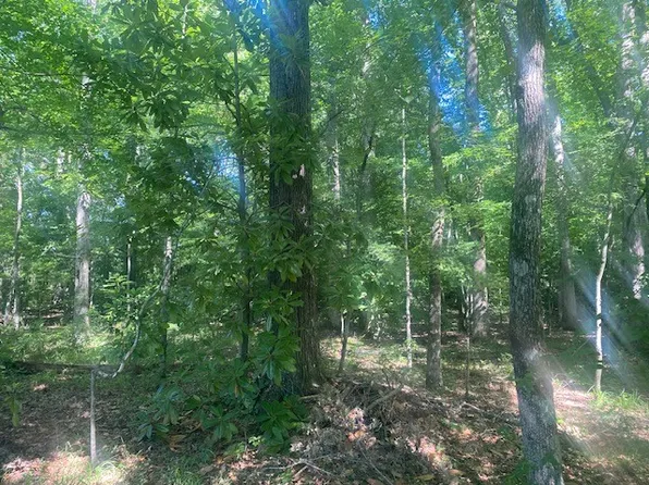 0 Hunter Rd, Fayetteville, TN 37334