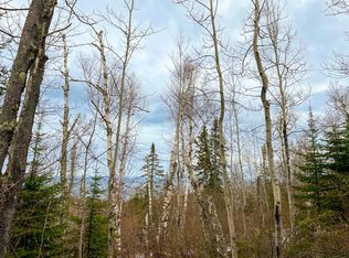 Mount Rockwood Rd, Silver Bay, MN 55614