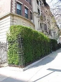View down the block.