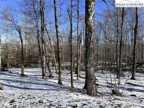 102 Northridge Road, Beech Mountain, NC 28604
