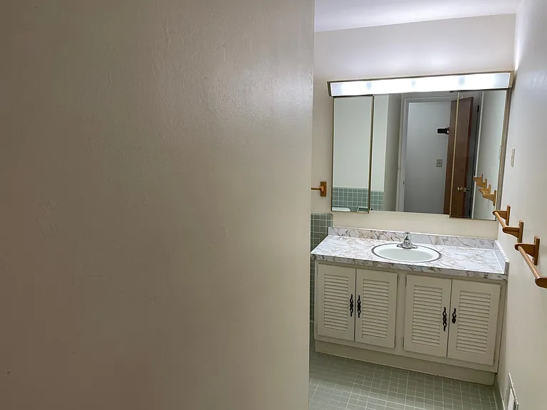 1517 Cambria Dr #1517 — Photo 32