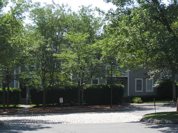 Cobbled driveway
