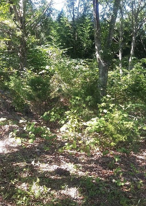 2nd image of 7 Wilson Rd Lot 7AR