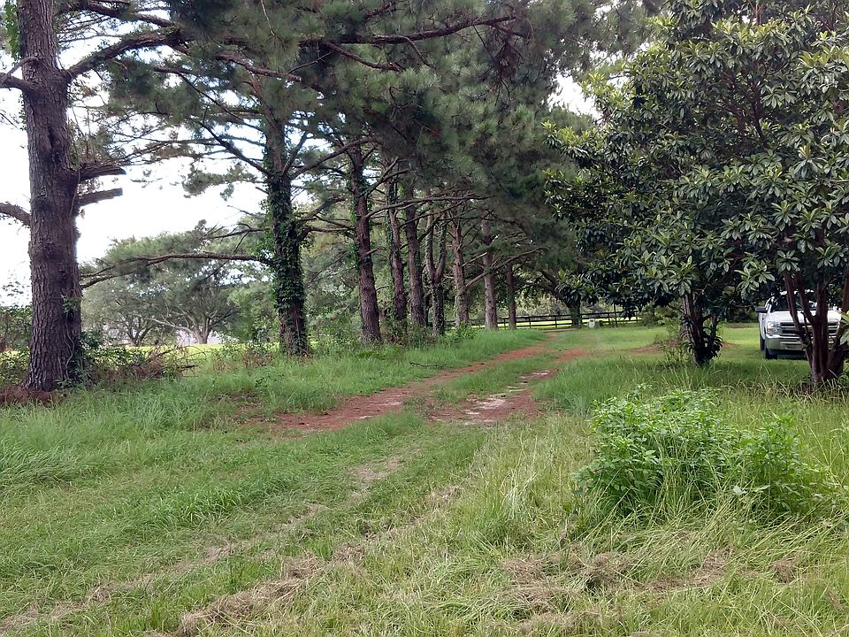 View of the driveway from thpropertytotheroad