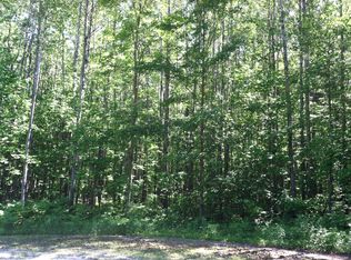 Forest Hills Drive Parcel #G, Spruce, MI 48762