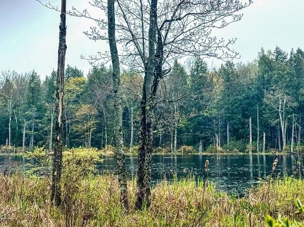 9 Johnson Rd, Becket, MA 01223