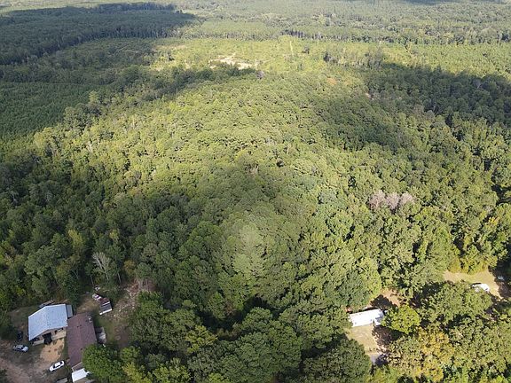 Dji Fly 20260808 164540 966 1786225553015 Photo