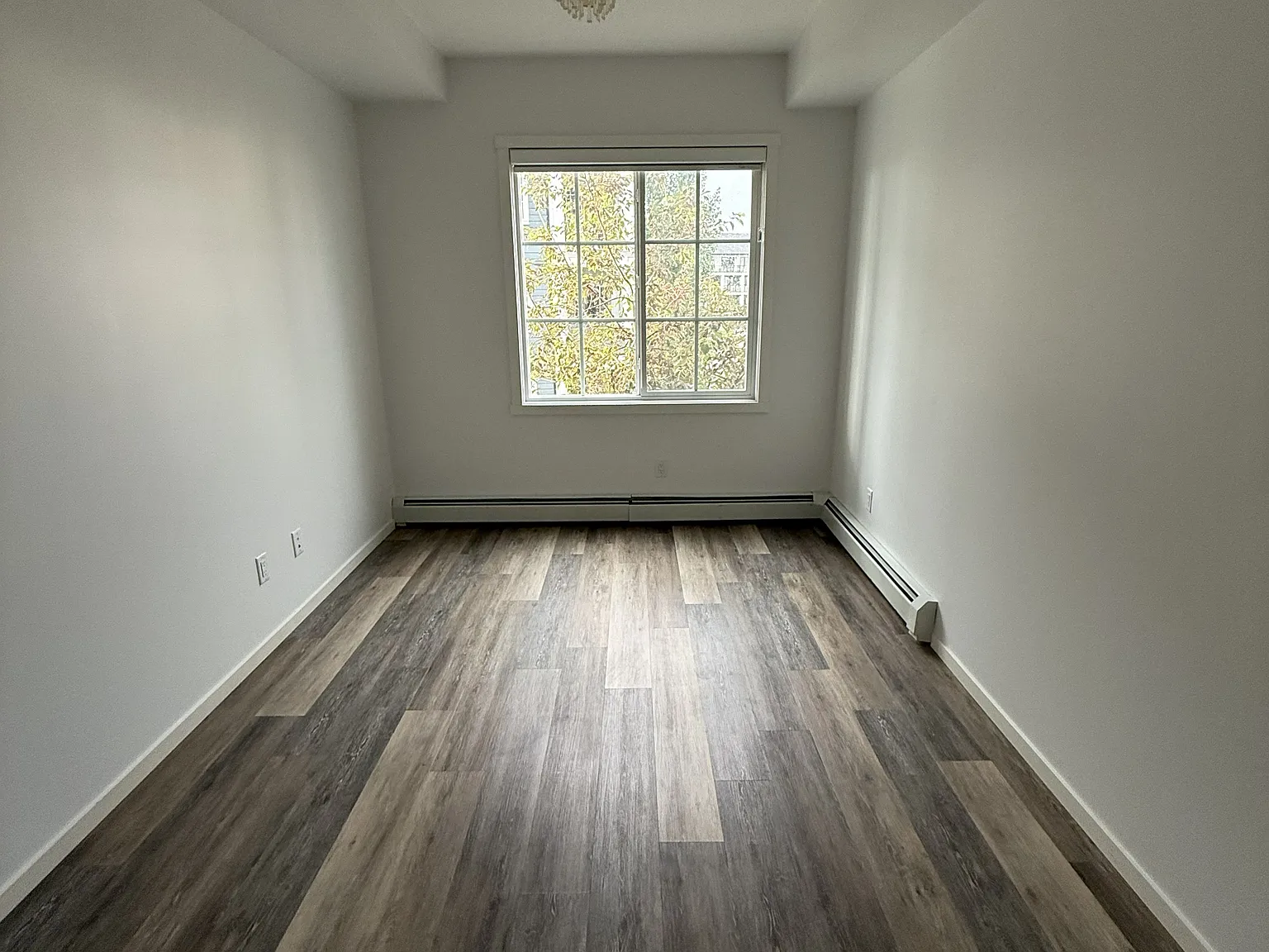2 bed, 816 sqft, $1,950 — Photo 4