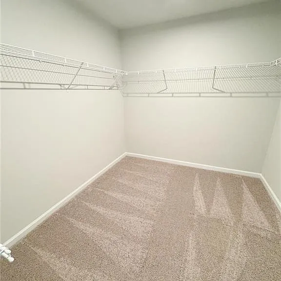 690 Smokey Quartz Way — Photo 10