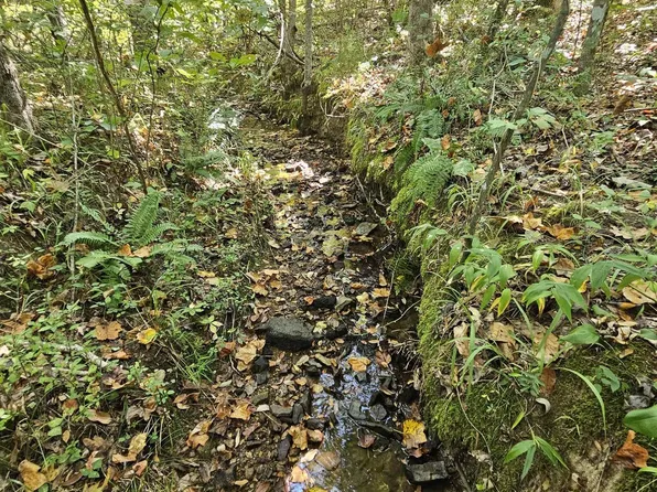 1 Gunnells Rd, Jacksonville, AL 36265