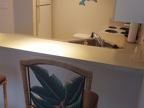 5th image of 8771 Estero Blvd #206