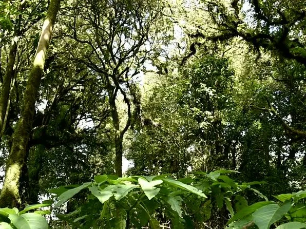 5791 NW Whitecap Road, Port St Lucie, FL 34986