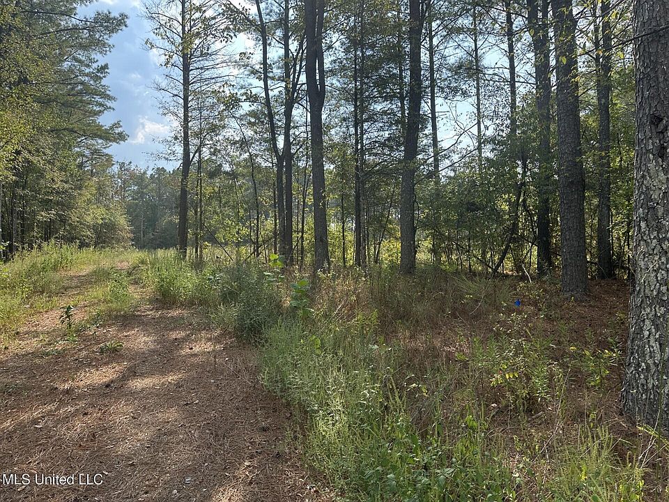 2nd image of 10901 Byhalia Rd Lot 2