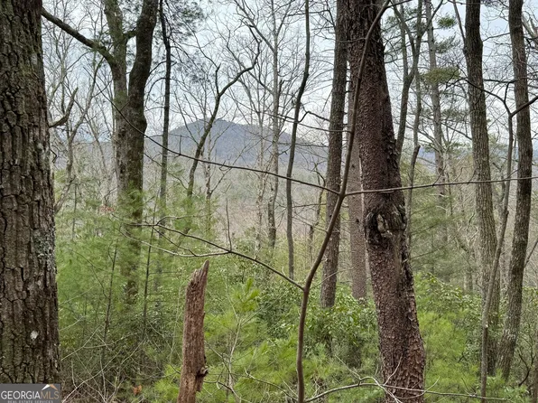 0 Wilderland Trl, Helen, GA 30545