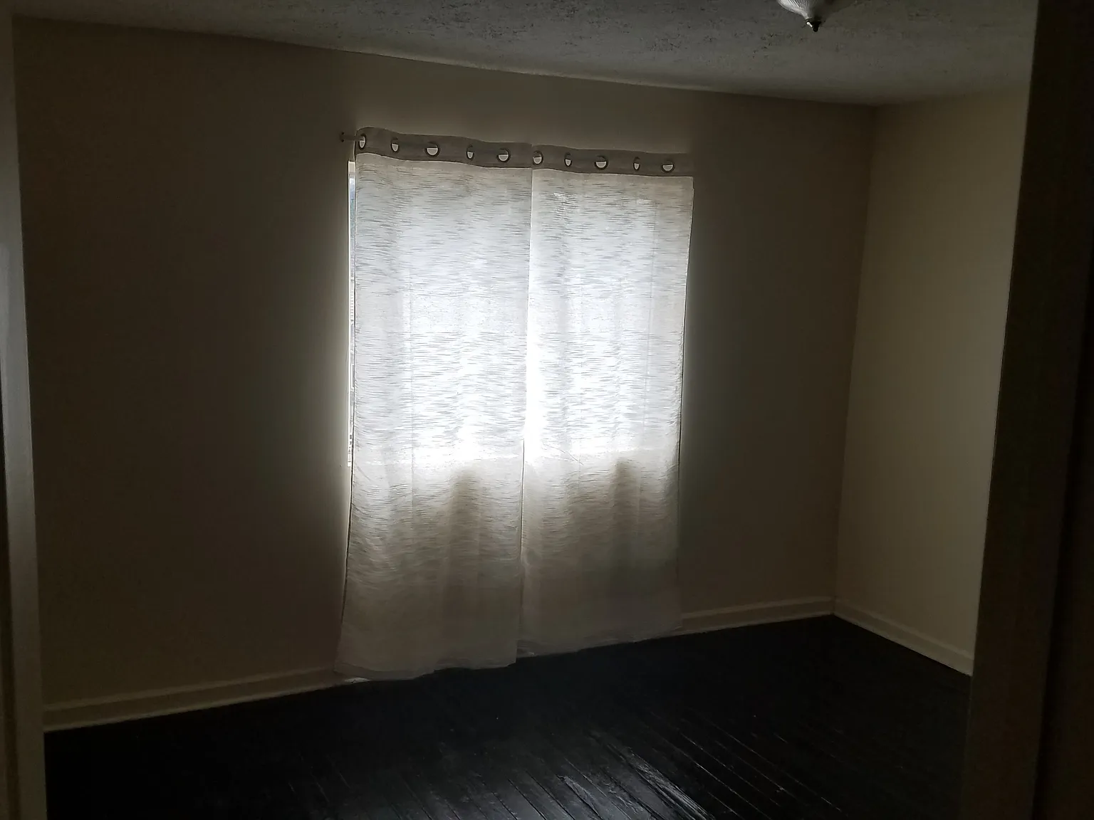 2 bed, 1100 sqft, $1,250 — Photo 3