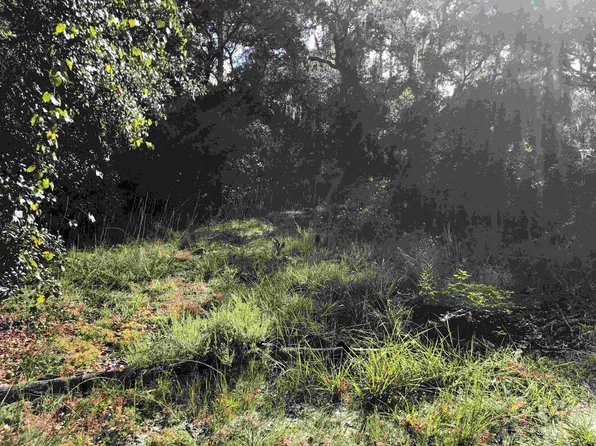 16351 NE 51st Ter, Citra, FL 32113