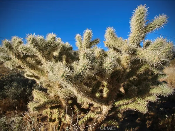 60255 Natoma Trl #44, Joshua Tree, CA 92252