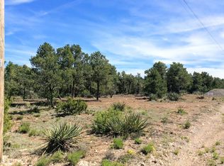 43 Jesse James Rd, Edgewood, NM 87015