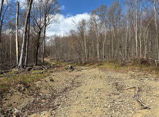 Hollenbeck Rd, Worcester, NY 12197