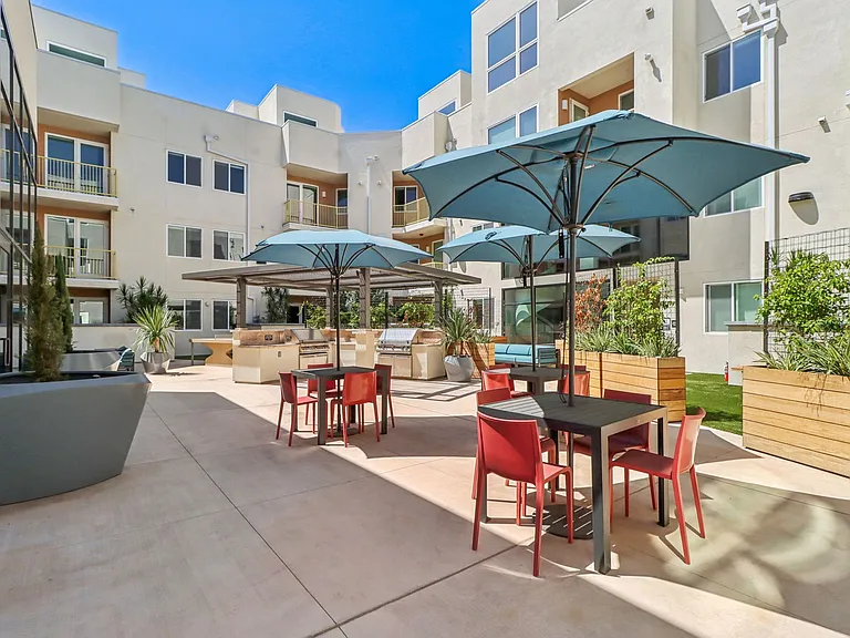 Begonia Place Luxury Apartments — Photo 30