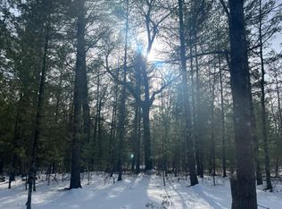 7078 S Nelson Rd, Chase, MI 49623