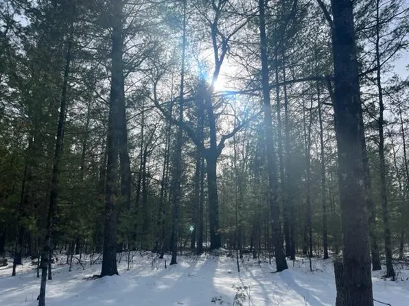 7078 S Nelson Rd, Chase, MI 49623