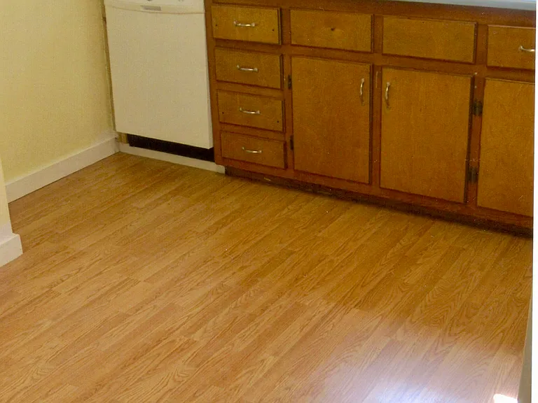 Kitchen with floor and dishwasher