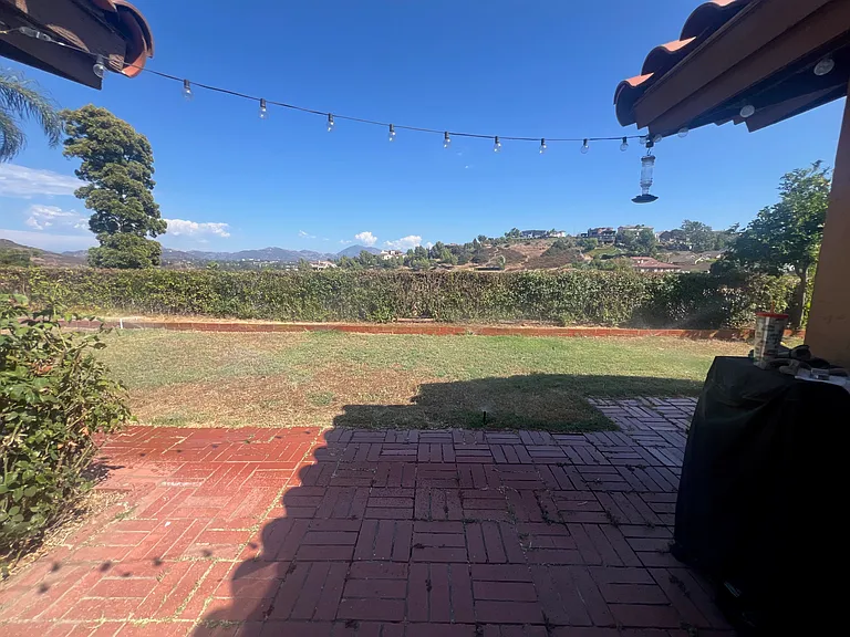 backyard view