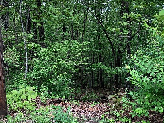 5th image of 0 Fort Trace Dr
