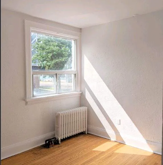 17 Louisa St — Photo 6