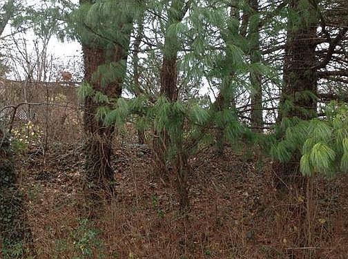 3rd image of 120 Grove Park Dr