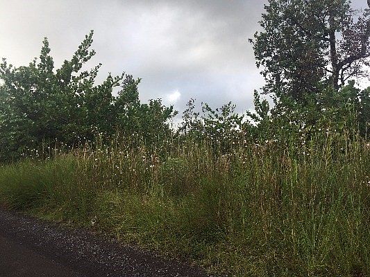 2nd image of 1st Ave Lot 2909