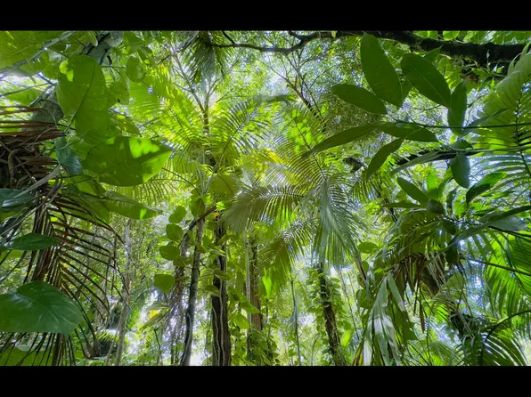 10th Ave Lot 831, Keaau, HI 96749