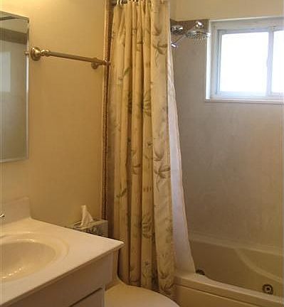 1st floor bath with jacuzzi tub.