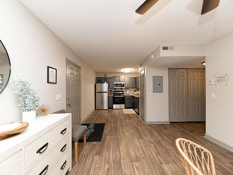 Hardwood-style flooring in entryway