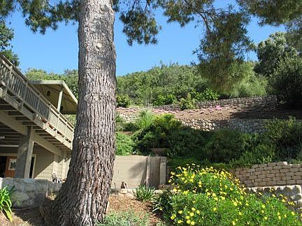 View from the driveway