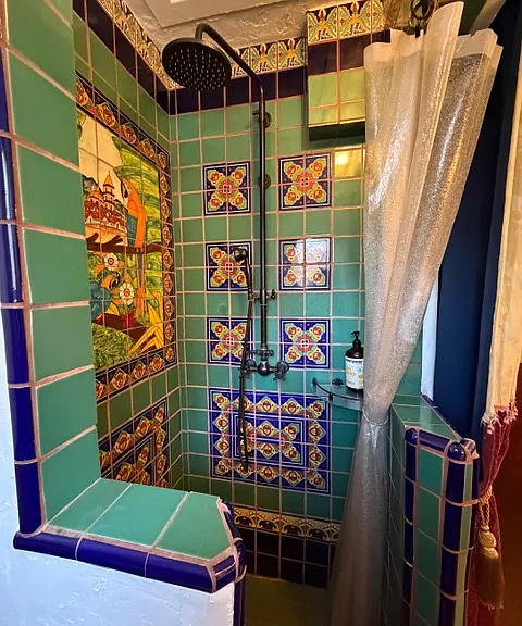 Looking from Toilet at Shower