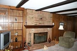 Wood Burning Fireplace 