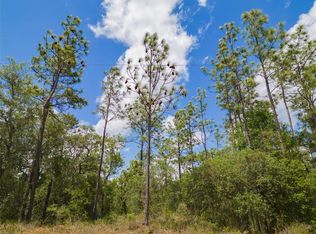 LOT 29 SW Edgewater Blvd #29, Dunnellon, FL 34431