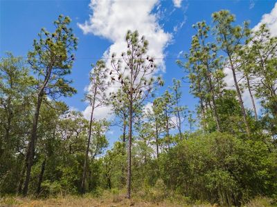 LOT 29 SW Edgewater Blvd #29, Dunnellon, FL, 34431