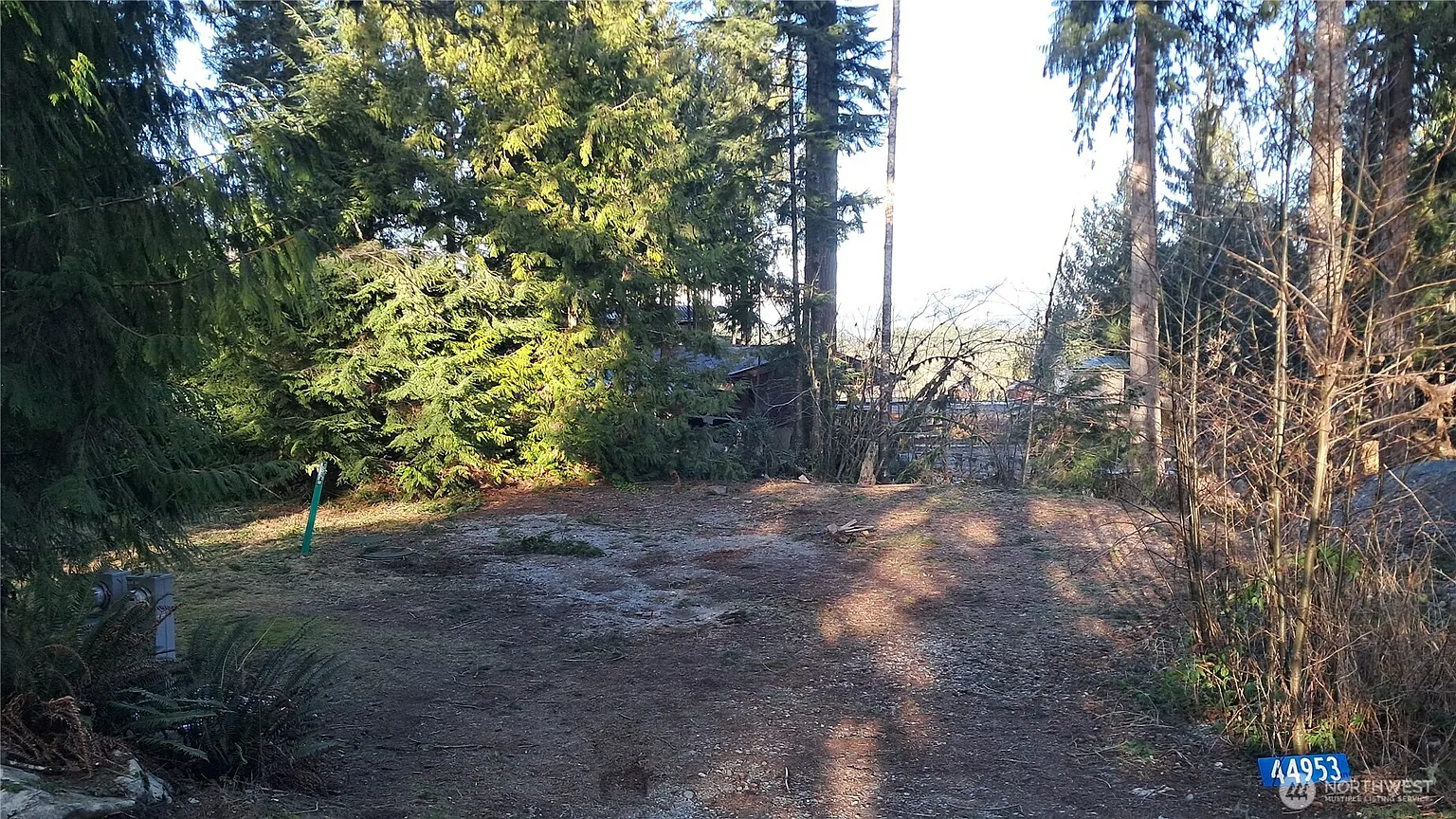 44953 Blacktail Loop photo 1