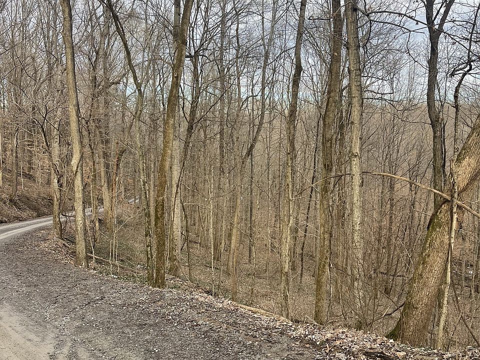 2nd image of 0 Johns Creek Rd