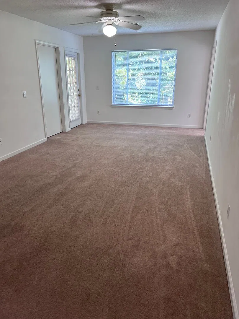 4 Bed 4 Bath At Univeristy Commons! One Month Free!! — Photo 4