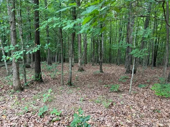 2 Redbird Dr Lot 2, Gladstone, VA 24553